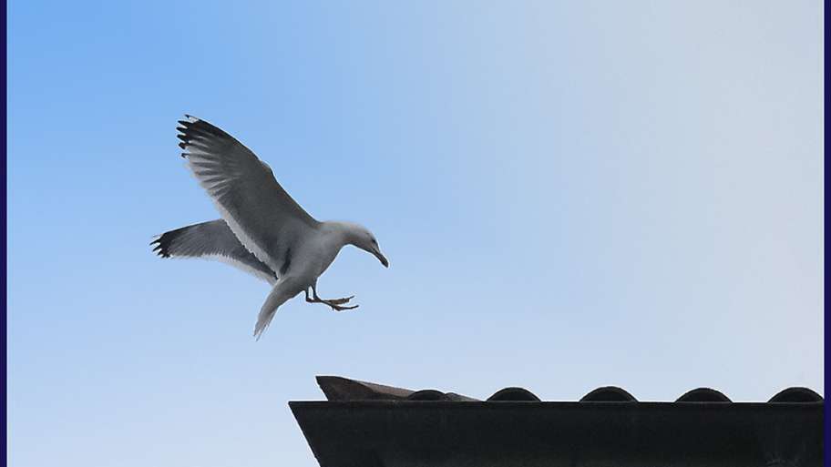 MANIOBRA DE ATERRIZAJE