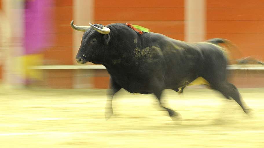 BUCLE CINÉTICO SIN ESCAPE