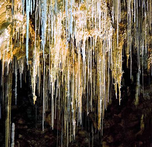 LLUVIA DE MACARRONI (LA CLAMOUSE)
