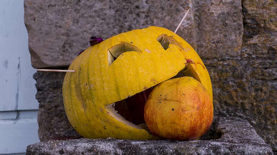 DIVERTIMENTO IMPORTADO