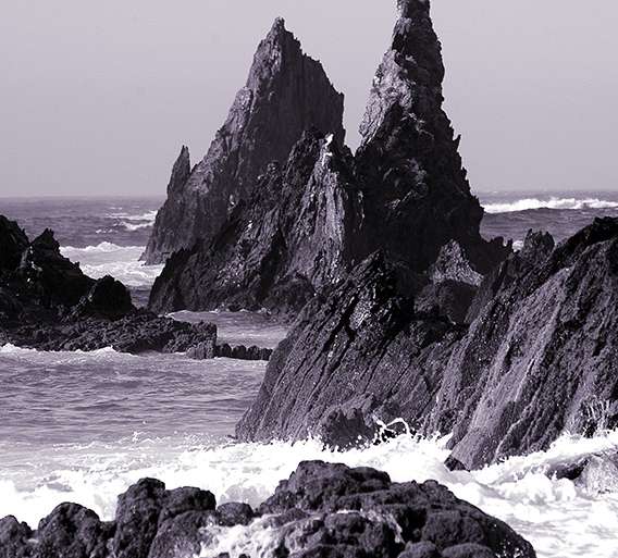 AGUJAS, TAMBIÉN SOBREVOLANDO EL MAR