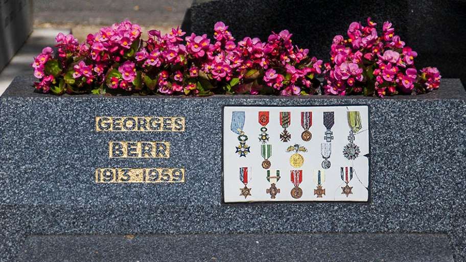 LA INTENSA VIDA DE GEORGES BERR