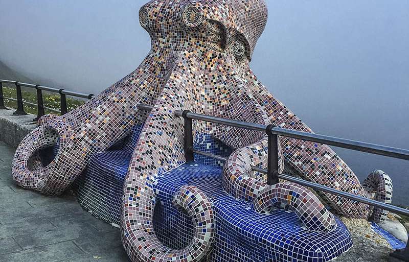 EL PULPO AMIGO, TEMEROSO DE LA NIEBLA