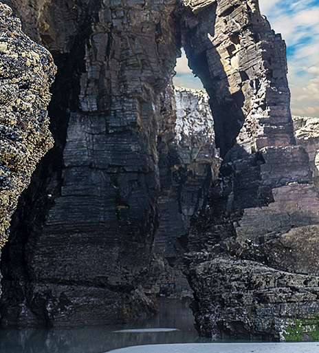 CALZADO PRESCINDIBLE