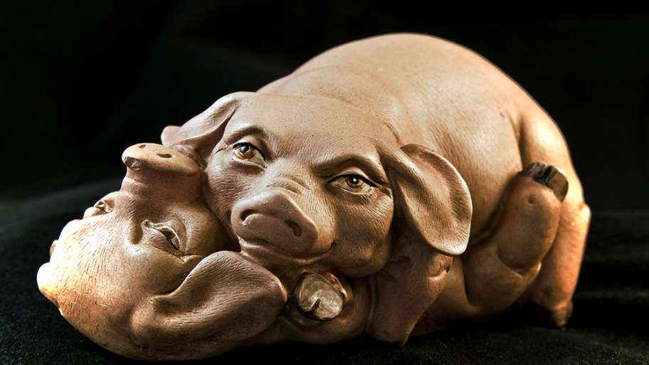 CHANCHITA Y CHANCHITO (SEXO PORCINO)