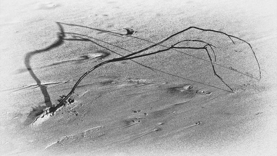 SOMBRAS ALARGADAS DE ATARDECER