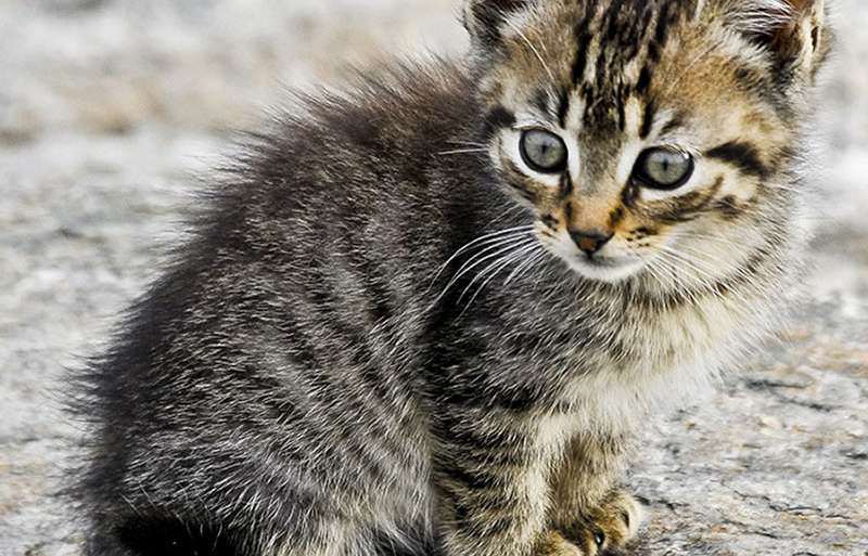 CON EL MIEDO EN EL CUERPO