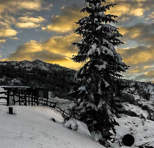 PONIÉNDOSE TRAS LA NEVADA