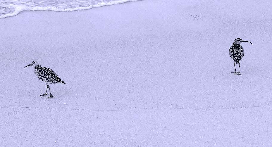 PAREJA DE PLAYEROS TRINADORES