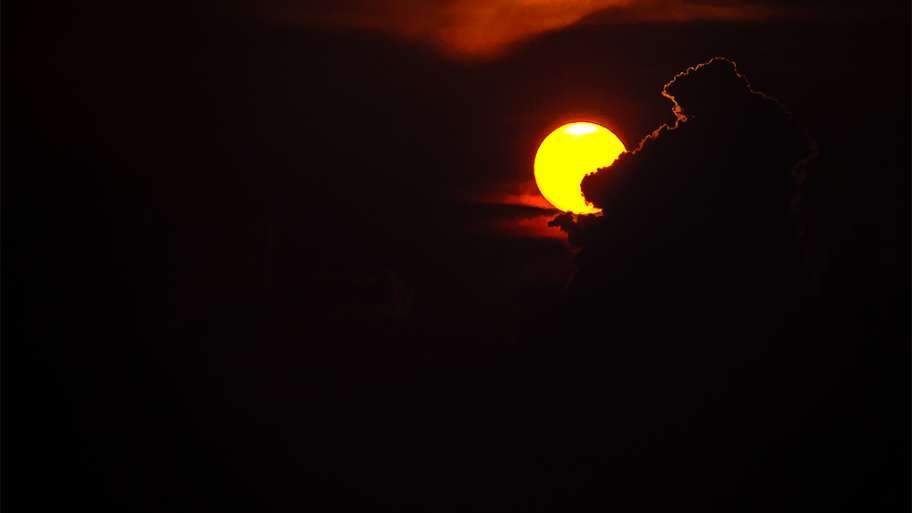 FIN DE DÍA EN LA CAMARGA