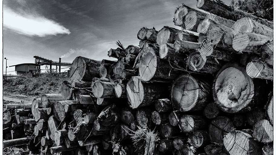 TRONCOS FERROVIARIOS