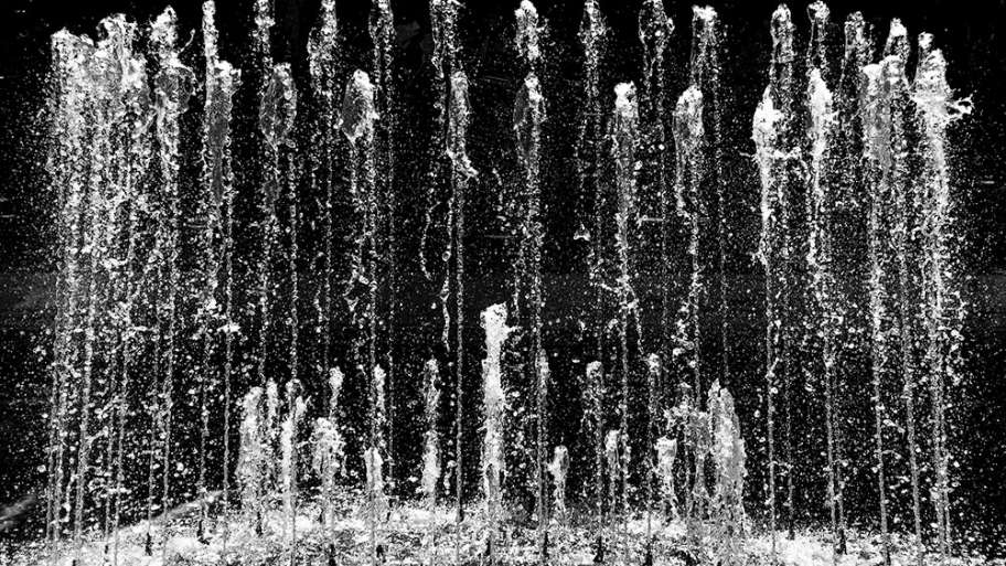 COMPOSICIÓN ACUÁTICA