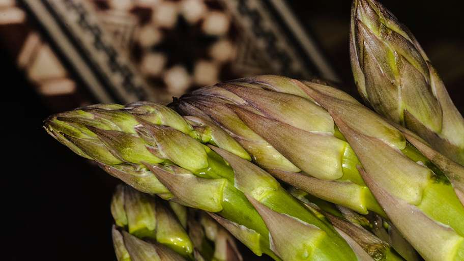 ESPÁRRAGOS ANDALUSÍES