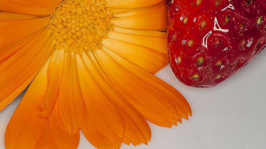 CORAZÓN DE LA FLOR CON FRESA