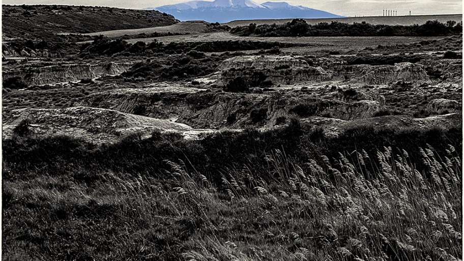 ESTEPA NAVARRA CON EL MONCAYO AL FONDO