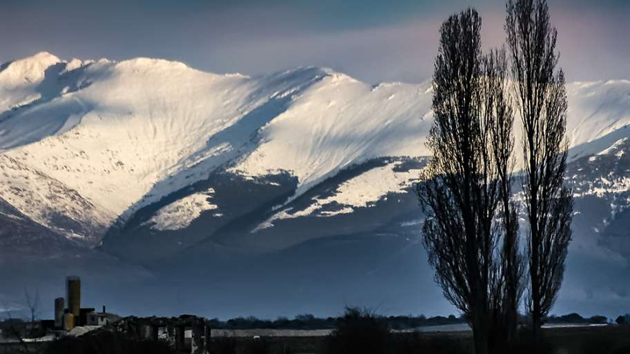 SOLITARIO FRENTE A LA NIEVE