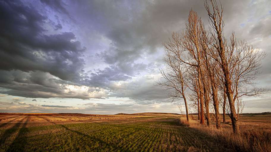 AMAGO TORMENTOSO AL ATARDECER