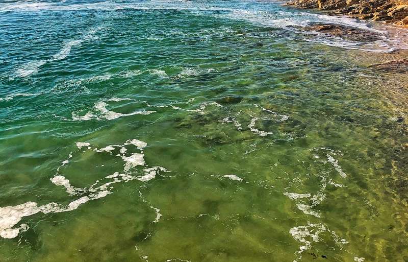 DOBLES AGUAS DE ESTUARIO