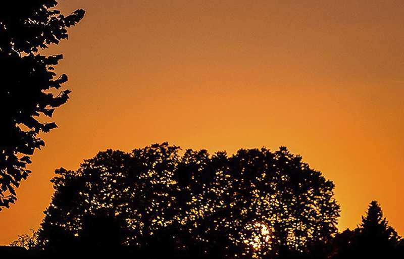 CREPÚSCULO DE VERANO