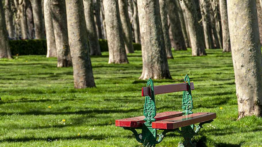 LA SOLEDAD DE LOS PARQUES