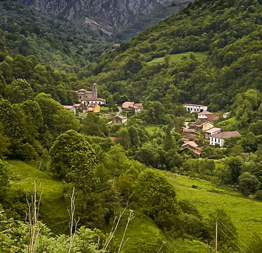OSEJA DE SAJAMBRE Y LA PICA TEN