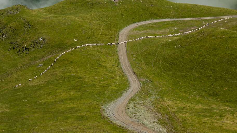 LÍNEAS ONDULADAS EN LA MONTAÑA