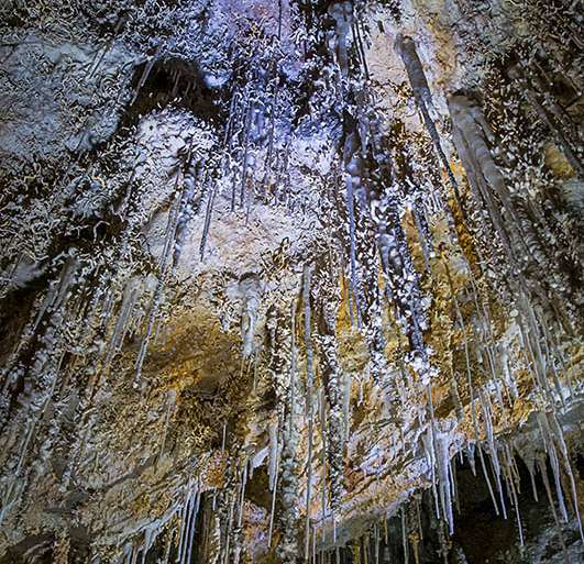 MACARRONI EN LA CLAMOUSE