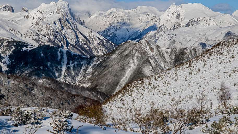 ENTORNO DE PAJARES NEVADO