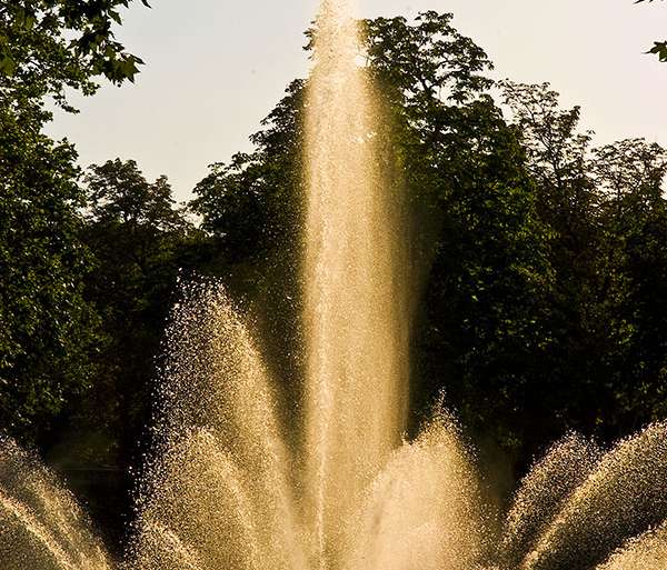 SURTIDOR A CONTRALUZ