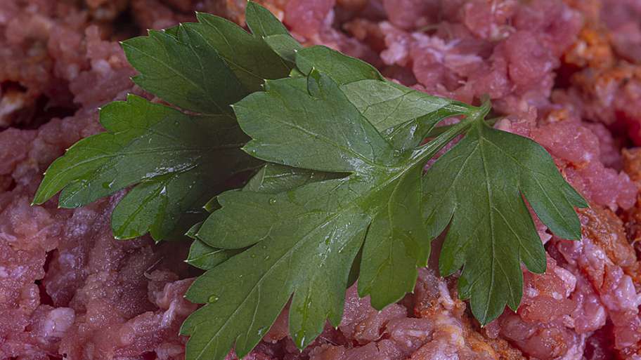 PEREJIL SOBRE CARNE ADOBADA