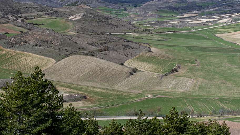 DESDE LAS ALTURAS DE MEDINACELI