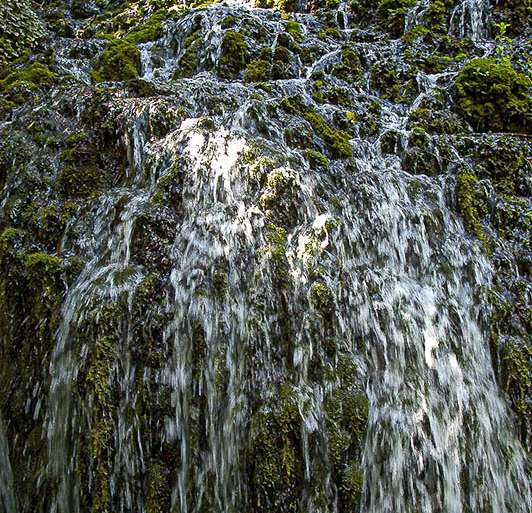 FRESCOR DE LA CASCADA