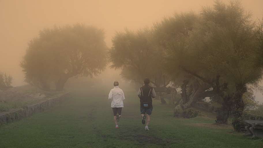 ADENTRÁNDOSE EN LA NIEBLA