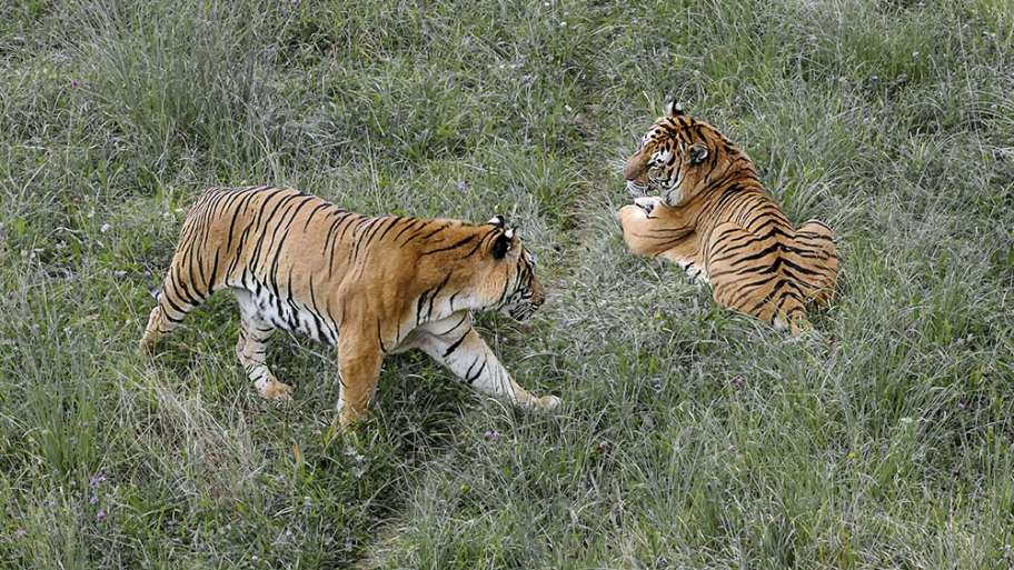 MIDIENDO BIEN LAS DISTANCIAS