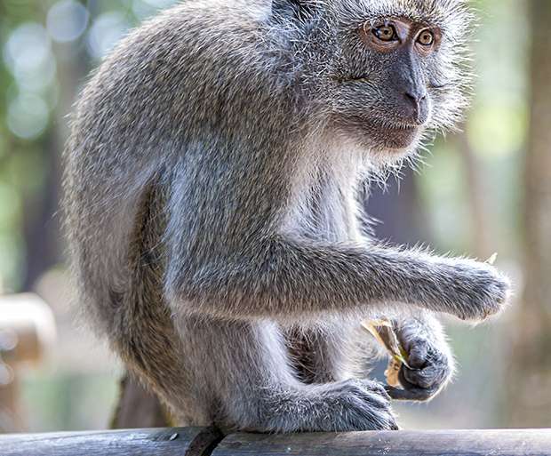 NO SÉ SI TENGO CAMBIO…