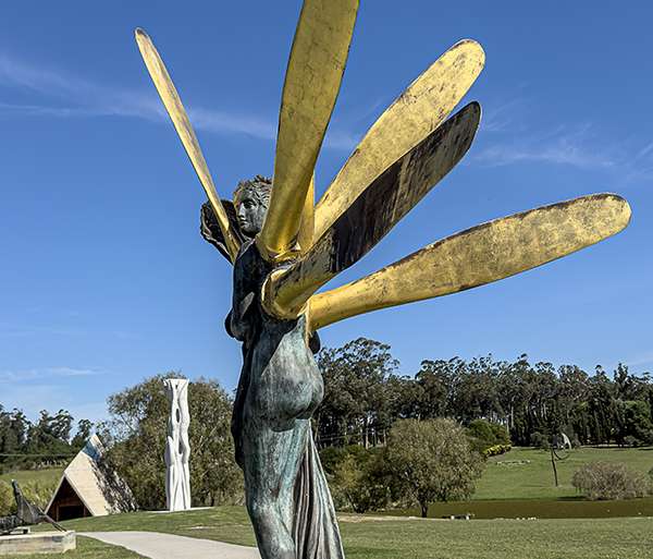 LIBÉLULA (ARMAN FERNÁNDEZ))