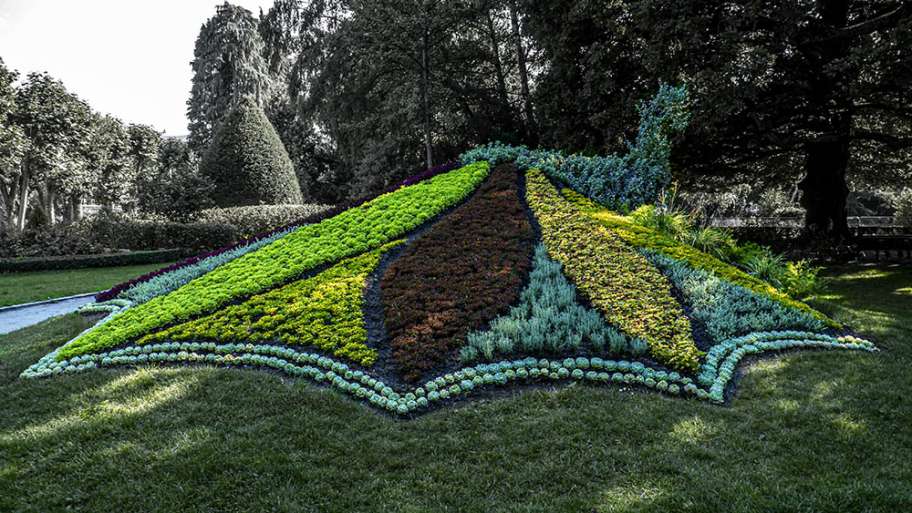 PAVO REAL VEGETAL, VEGETARIANO, VEGANO…