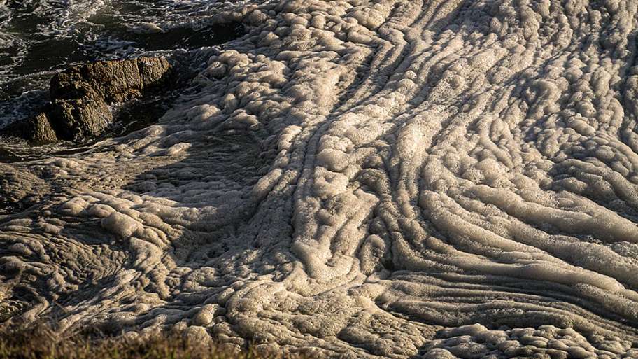 MAR DE ESPUMA DE ALTA DENSIDAD
