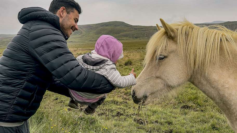 ALIMENTANDO AL CABALLITO (ISLANDIA-2)