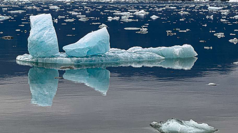 MICROTÉMPANOS (ISLANDIA-39)