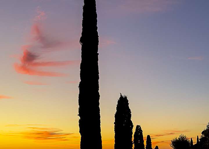 LOS CIPRESES DE PIENZA, DE ATARDECIDA