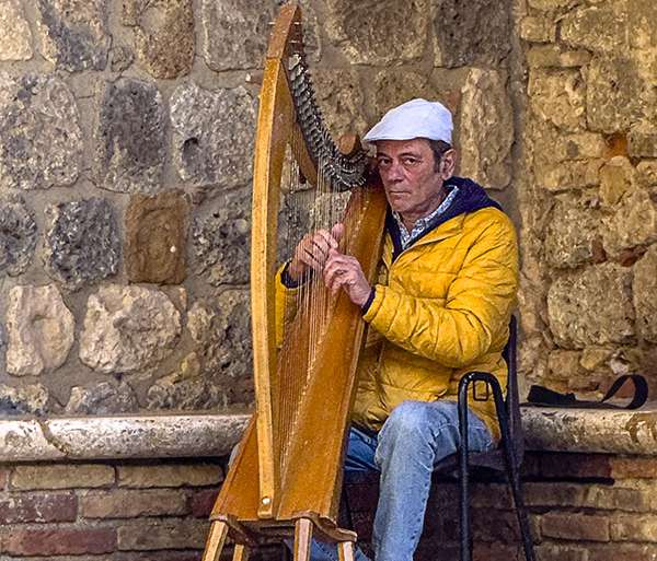 EL ARPISTA MALENCARADO