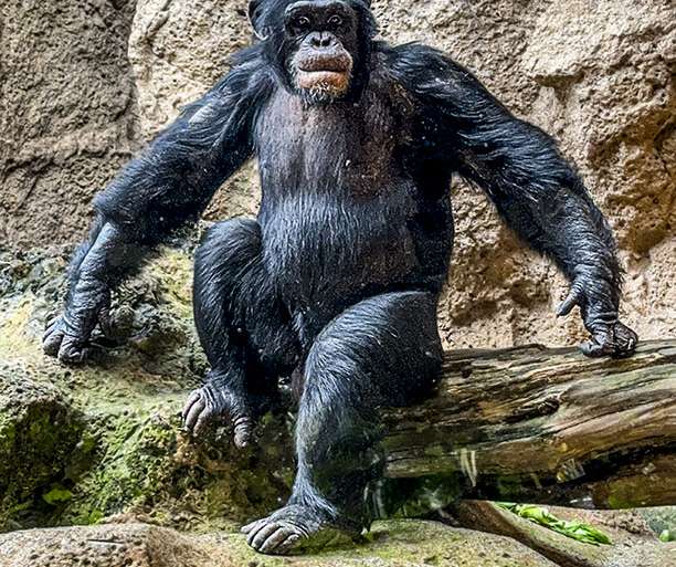 POSANDO, ORGULLOSO, SIN COMPLEJOS