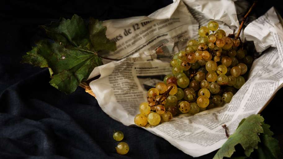 UVAS VIEJAS EN PERIÓDICO NUEVO